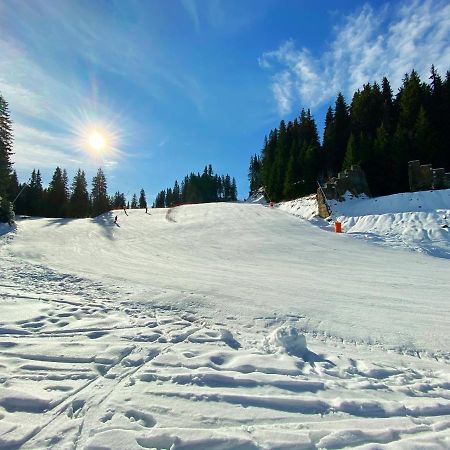 Appartamento Papa Moose Pamporovo Esterno foto