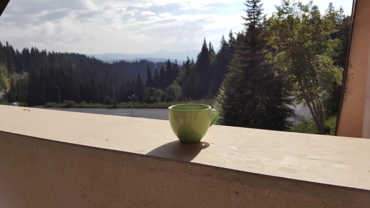 Appartamento Papa Moose Pamporovo Esterno foto